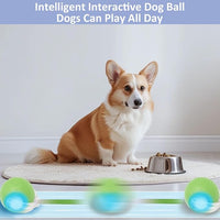 Chewie Viral Rolling Ball, Interactive Cat Toys Ball for Indoor, Cats Interactive Self Rolling Ball Dog Ball Automatic Cat Toy 360° Smart Automatic Rolling Pet Ball (Green)
