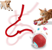 Interactive Cat Toys Smart Ball for Cats & Dogs! Now with 2 Rapid - Red