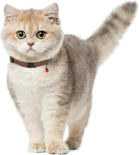 Breakaway Cat Collar Leather with Removable Bell - 13 Colors Available - Soft Adjustable Girl Boy Safety Lightweight Pet Kitten Collars Pink Brown Blue Green Red Orange Black (Cognac)