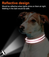 Joytale Reflective Dog Collar, Adjustable Neoprene Padded - Medium (Pack of 1) / Neon Pink - image 2