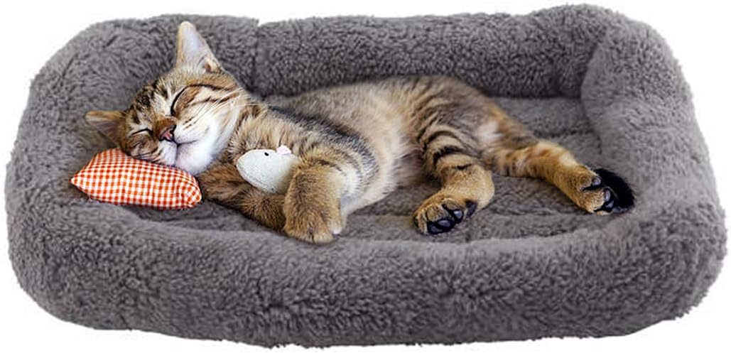 Enjoying Cat Mat Bed 16" x 22" Pet Bed with Pillow Around for Dogs - Small(Rectangular) - image 3