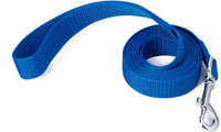 Strong Durable Nylon 10ft Long Dog Training Leash, Traction Rope - Blue / 6 Feet