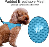 Plutus Pet No Pull Dog Harness with Front Clip - M: chest 19.7"-25.2" / Cyan - image 3