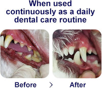 Breath Freshener Strip for Clean Teeth, Fresh Breath, & Healthy Mouth: Dog Water Additive for Dental Care - Pet Bad Breath Remedy - Cat Dental Mint Treats (10 Strips)