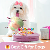 QDAN Dog Soccer Ball Toy with Strap - A-Colorful Pink / Large Size 3 - image 3