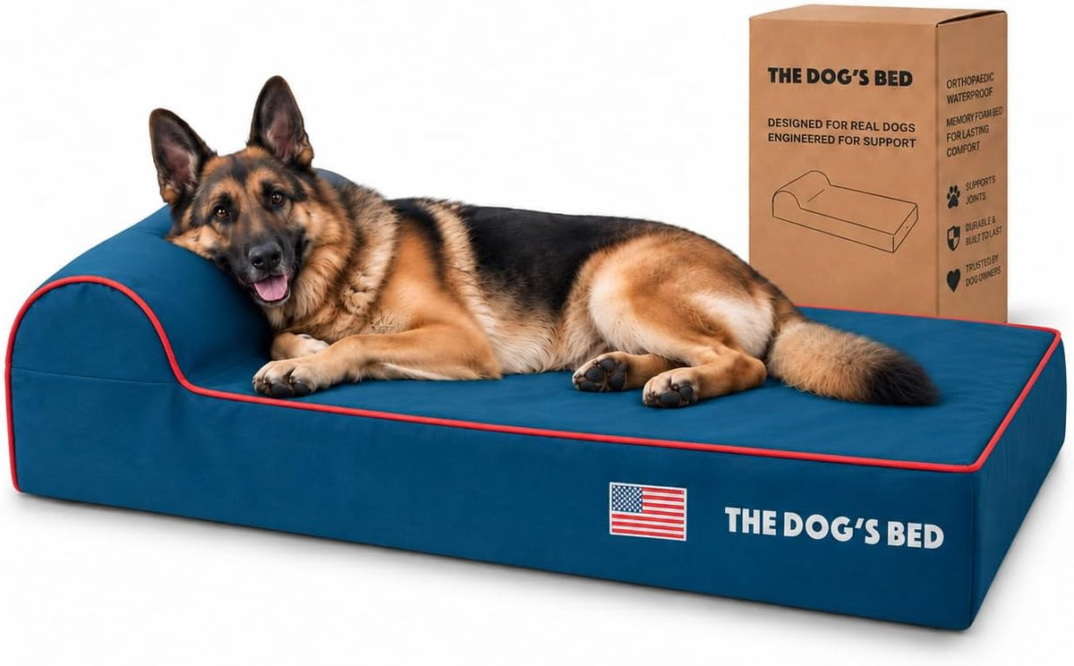 The Dog’s Bed Orthopedic Memory Foam Dog Bed with Headrest XL 6-Inch – Essentials for Dogs - Blue with Red Trim US Flag / XL (46"L x 28"W x 6"Th)