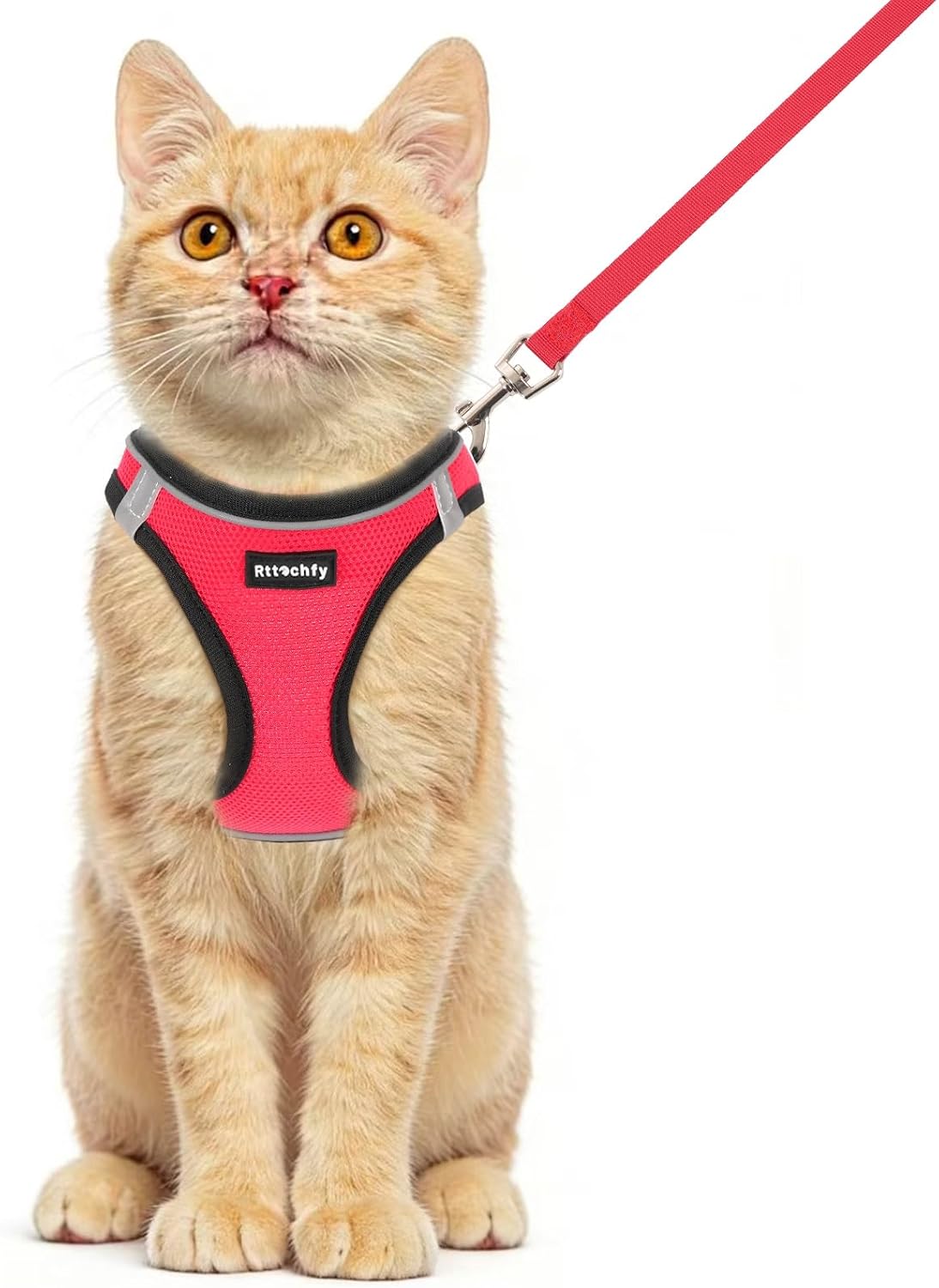 Rttochfy Cat Harness and Leash Set, Escape Proof Kitten Harness - XS (Chest:12.5"-14") / BK Red