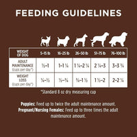 Original Beef Dry Dog Food, 20 lb. Bag