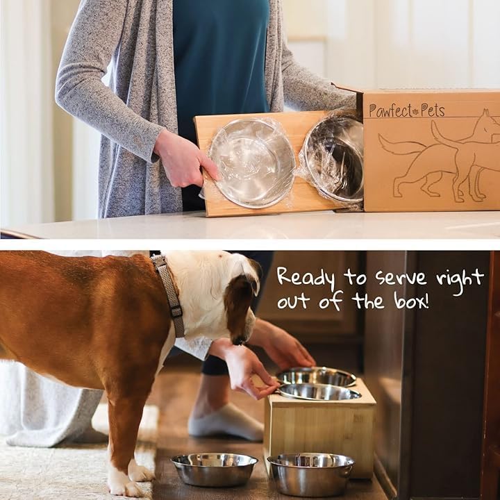 Elevated Dog Bowl Stand - 7" Raised Pet Feeder for Medium Dogs with Four Stainless Steel Bowls. - Bamboo - image 2
