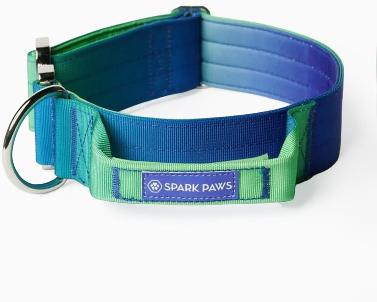 Spark Paws Tactical Large Dog Collar w/Handle, Thick & Wide - Lime Wave / M: 18"-22" [1.5" wide]