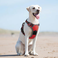 Eagloo Dog Harness for Large Dogs, No Pull Service Vest with Reflective Strips and Control Handle, Adjustable and Comfortable for Easy Walking, No Choke Pet Harness with 2 Metal Rings, Red, L