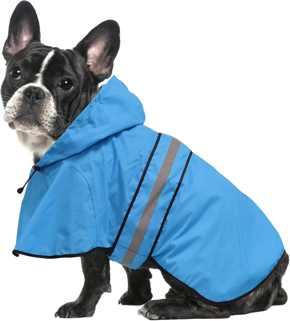 Waterproof Dog Raincoat, Adjustable Pet Rain Coats - Blue / Small