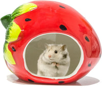 Besimple Hamster Hideout, Small Animal Hideout Ceramic Pet House