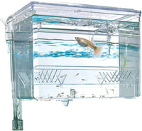 Fluval Multi-Chamber Holding and Breeding Box, Medium – Essentials for Fish - image 3