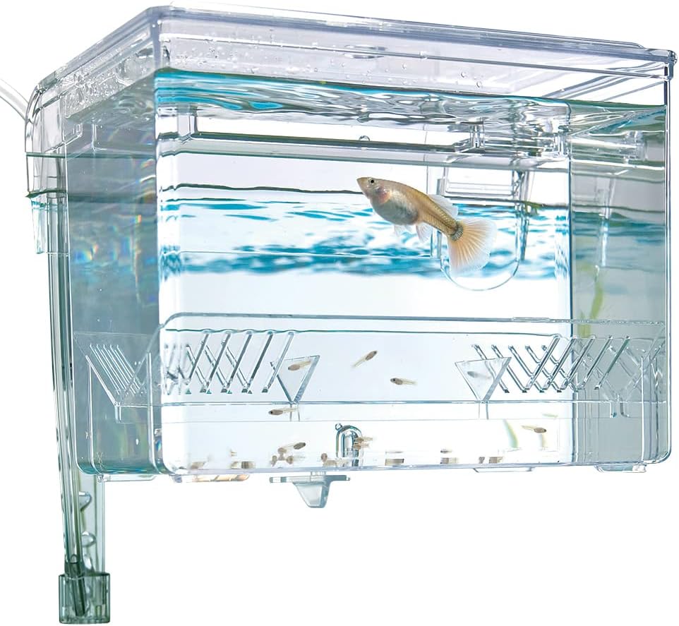 Fluval Multi-Chamber Holding and Breeding Box, Medium – Essentials for Fish - image 3