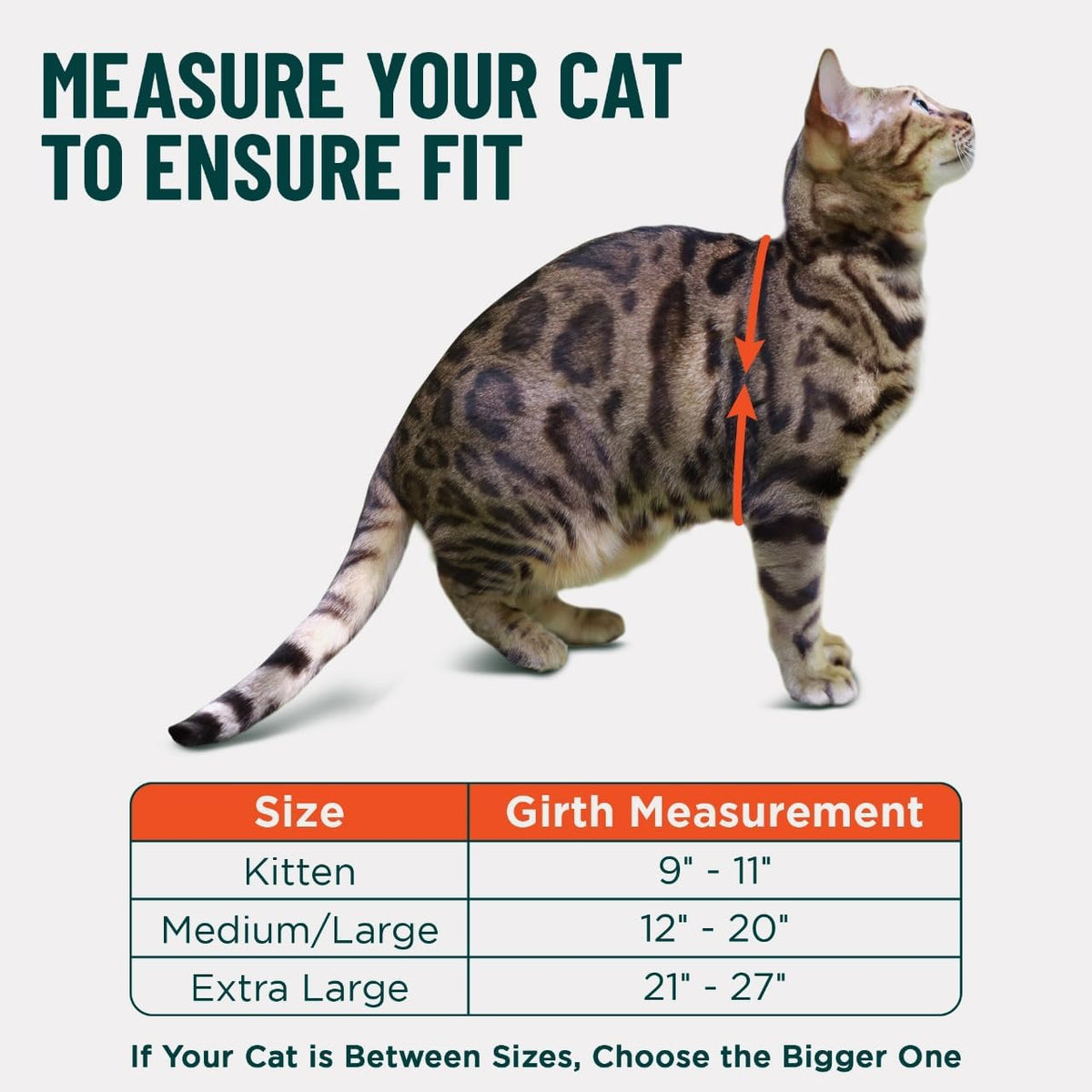 Houdini Escape Proof Cat Harness and Leash – Essentials for Cats - Black / M/L - image 3