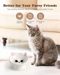 Raised Cat Food Bowl Ceramic 15° Tilted Cat Food Bowls Protect Cat's - Pink2P / 2 - image 4