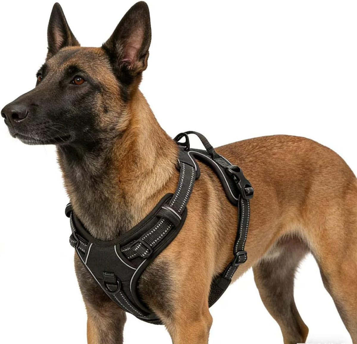 Blue No-Pull Dog Harness with 2 Leash Clips，Soft Padded Vest - X-Large / Black