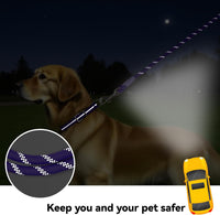 Long Dog Training Leash，Heavy Duty Reflective Rope Lead for Small - Purple / 30FT - image 3