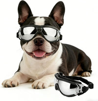 Dog Goggles for Small Breeds - Medium / Black