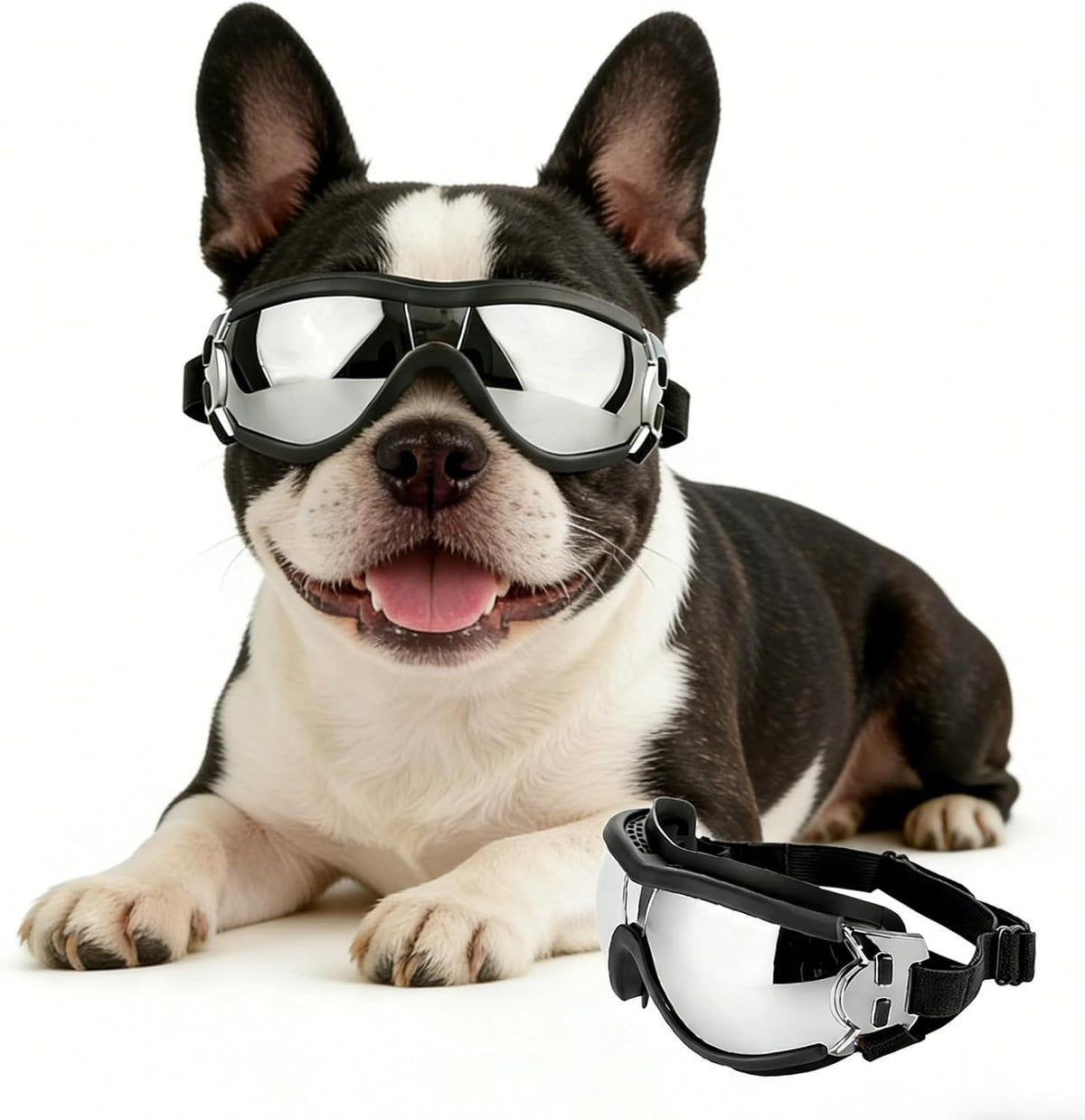 Dog Goggles for Small Breeds - Medium / Black