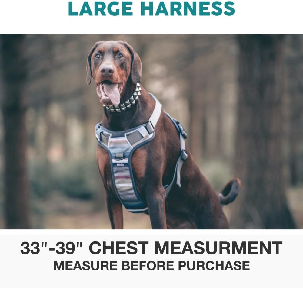 Embark No Pull Dog Harness, Reflective Adjustable Training Vest - L / Baja - image 2