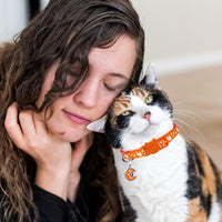 Baeuppit 2Pcs Breakaway Cats Collars Cat Collars for Boy & Girl Cats - 7.0-10.7'' / Black+Tangerine - image 4