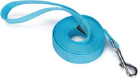 Strong Durable Nylon 10ft Long Dog Training Leash, Traction Rope - Mint blue / 10 Feet