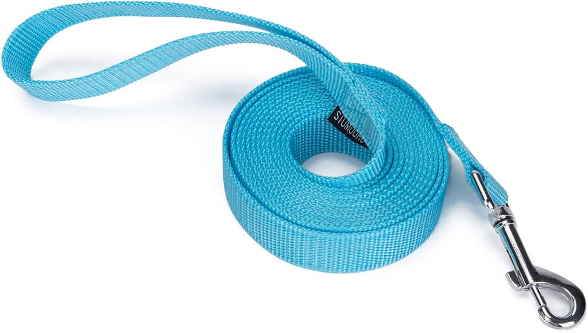 Strong Durable Nylon 10ft Long Dog Training Leash, Traction Rope - Mint blue / 10 Feet