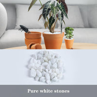 Silica Gravel, Multi-Purpose Mixed Silica Sand for Fire Pits - 5LB / White Small - image 4