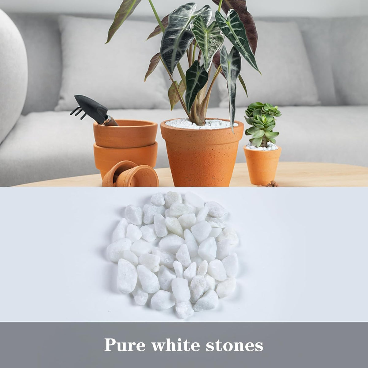 Silica Gravel, Multi-Purpose Mixed Silica Sand for Fire Pits - 5LB / White Small - image 4