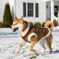 Retro Aviator Dog Jacket – Faux Leather Winter Coat with Plush Sherpa Fleece Lining for Bulldog - Coffee / X-Large - image 3