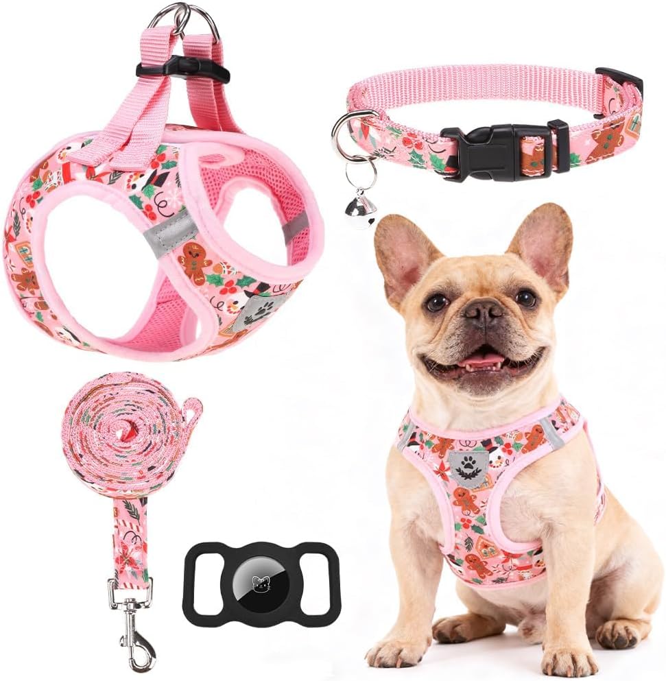 EXPAWLORER Plaid Small Dog Harness and Leash Set with AirTag Holder - Christmas Red / Medium