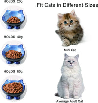 Nihow Ceramic Basic Cat Bowls: 5 Inch Cat Bowl for Food & Water – Essentials for Cats - 4.25 OZ / Blue & Black - image 3