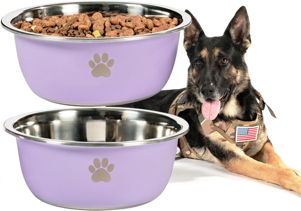 Large Dog Water Bowl 2 Pack, Aqua - Purple - 2 Pack / 1.3 Gallons - XL (100lb + breed)