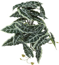 Fake Calathea Orbifolia, Reptile Terrarium Suction Plants – Essentials for Fish - Fake Alocasia Black Velvet