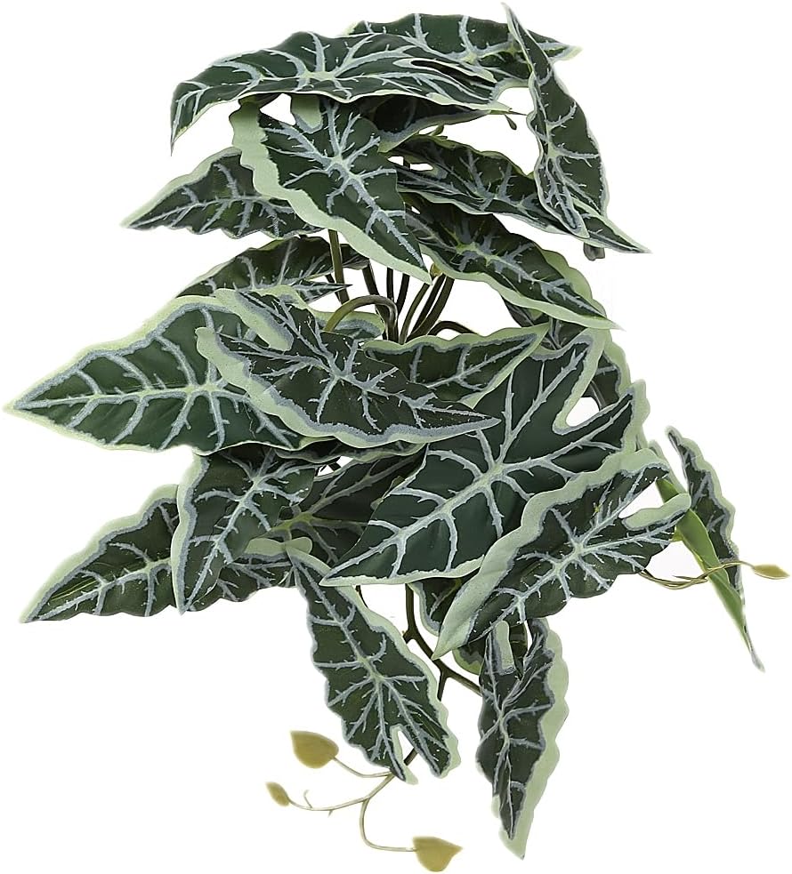 Fake Calathea Orbifolia, Reptile Terrarium Suction Plants – Essentials for Fish - Fake Alocasia Black Velvet