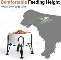 Elevated Dog Bowls, Ceramic Raised Dog Bowl Set with Anti-Slip and Non-Tip Metal Stand, 2 Pack Pet - White / 7.6 Cups | 2 Pack | For Large Dogs - image 2