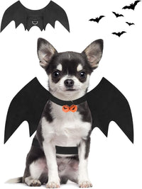 Halloween Dog Bat Wings Costume - Small