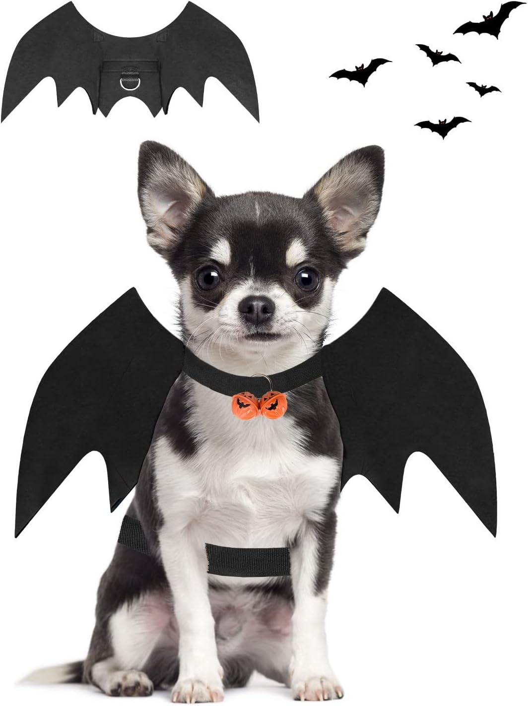 Halloween Dog Bat Wings Costume - Small