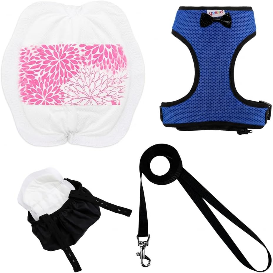 Adjustable Chicken Harness Diaper - Small / Blue