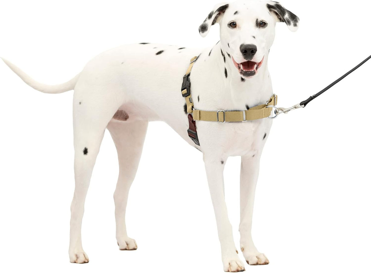 PetSafe Easy Walk Harness, No Pull Dog Harness, Royal Blue - Tan/Brown / Medium/Large / 1 - image 2