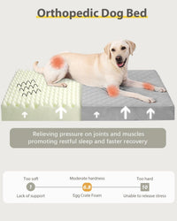 Orthopedic XL Dog Beds Large Sized with Washable Cover, 41x27 - 35.0"L x 22.0"W x 3.0"Th / Light Gray - image 4