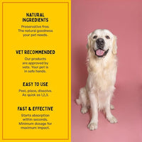 Fresh Breath Oral Strips for Dogs & Cats | Natural Spearmint & Thymol for Easy and Convenient, All-Natural Oral Care (30 Oral Dissolving Strips)