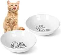 2pcs Wide Shallow Cat Bowls - Funny