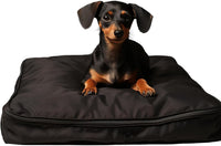 Dog Bed Covers 53L × 43W × 5H Inch Washable Grey Thickened Waterproof - XX-Large-53" L × 43" W × 5" H / Black