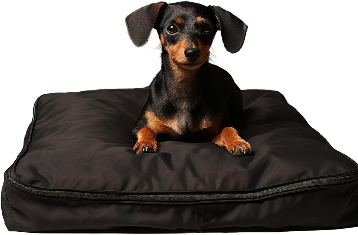Dog Bed Covers 53L × 43W × 5H Inch Washable Grey Thickened Waterproof - XX-Large-53" L × 43" W × 5" H / Black