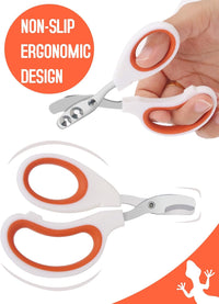 Stainless Steel Bearded Dragon Nail Clippers - Orange - image 3