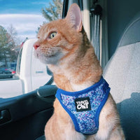 Travel Cat Harness and Leash Set - Small / Groovy Cat - image 2