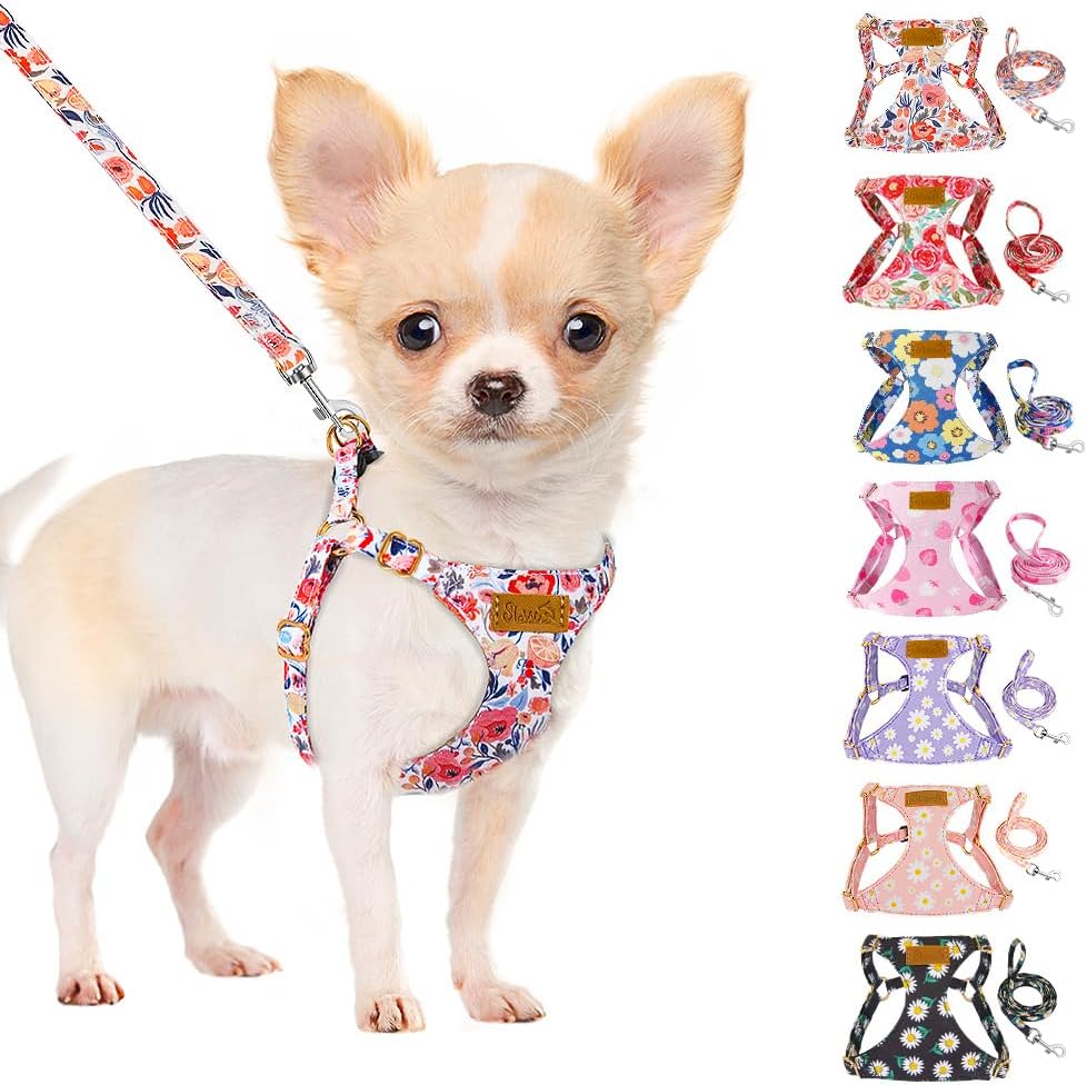 SlowTon No Pull Dog Harness with Leash for Small Medium Dogs - XX-Small(2.2-6lb) / Flower